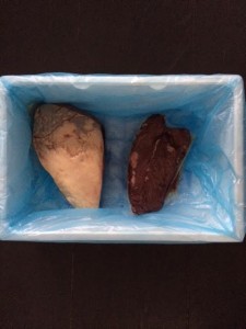 EPS-doos met vlees
