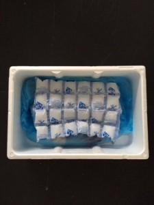 EPS-doos:Icepack 2