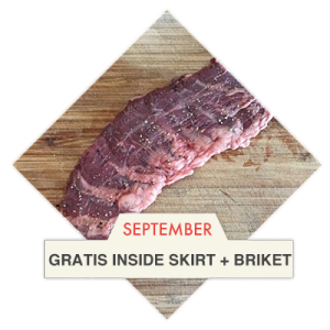 Gratis iniside skirt + BAST-ONE briket - BBQuality