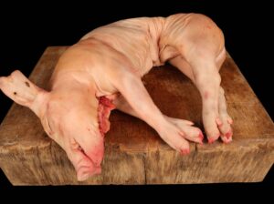 Speenvarken | BBQuality