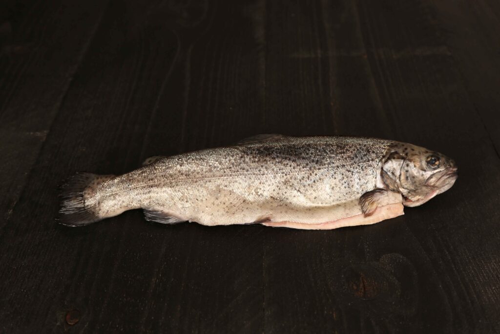 Forel