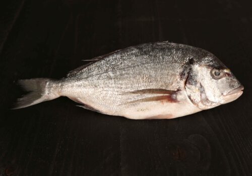 Dorade | BBQuality