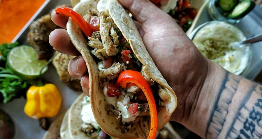 Pulled chicken tacos recept van kipdijfilet | BBQuality