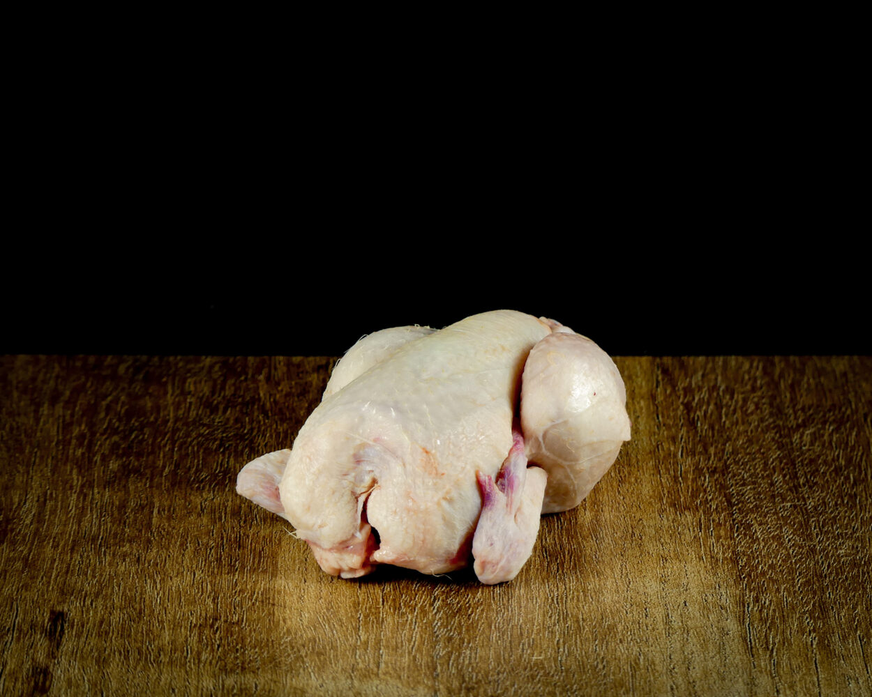 Poussin / Piepkuiken