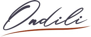 Ondili logo | 2025